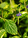 %_tempFileName02-20081214-0278%