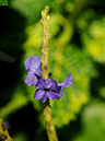 %_tempFileName03-20081214-0281%