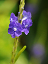 %_tempFileName04-20090506-0214%