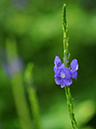 %_tempFileName05-20100627-0098%