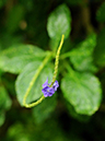 %_tempFileName06-20100928-0196%