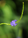%_tempFileName07-20100928-0198%
