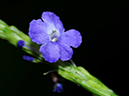 %_tempFileName08-20101211-0227%