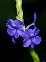 %_tempFileName09-20101211-0228%