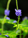 %_tempFileName10-20110529-0170%