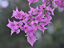 %_tempFileName01-20080112-0141%