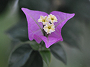%_tempFileName04-20080127-0293%