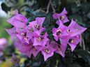 %_tempFileName05-20080302-0285%