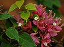 %_tempFileName09-20110409-0222%