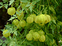 %_tempFileName03-20120902-0034%