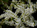 %_tempFileName01-20070120-0173%