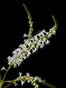 %_tempFileName02-20070120-0174%