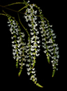 %_tempFileName04-20070120-0176%