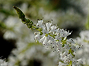 %_tempFileName05-20070120-0177%