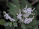 %_tempFileName06-20080112-0002%