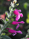 %_tempFileName03-20080105-0116%