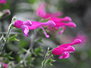 %_tempFileName04-20080127-0251%