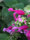 %_tempFileName05-20080302-0283%