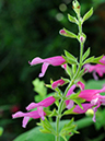 %_tempFileName06-20100124-0181%