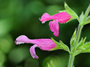 %_tempFileName07-20100124-0182%