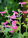 %_tempFileName08-20100130-0160%