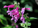 %_tempFileName09-20111225-0413%
