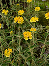 %_tempFileName01-20120603-0423%