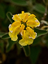 %_tempFileName02-20120603-0424%