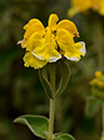 %_tempFileName04-20120603-0426%