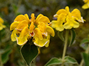 %_tempFileName05-20120603-0427%