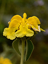 %_tempFileName06-20120603-0428%