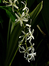 %_tempFileName01-20060129-0326%