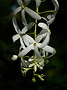 %_tempFileName02-20060129-0328%
