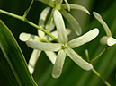 %_tempFileName03-20060204-0256%