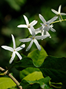 %_tempFileName04-20060304-0353%
