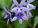 %_tempFileName09-20070225-0481%