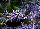 %_tempFileName11-20090228-0188%