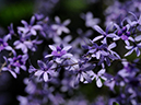 %_tempFileName12-20090307-0235%