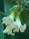 %_tempFileName01-20060122-0264%