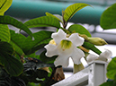 %_tempFileName02-20080308-0206%
