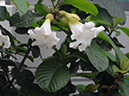 %_tempFileName04-20080308-0229%