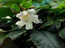 %_tempFileName05-20100214-0286%