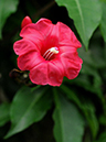 %_tempFileName01-20081124-0179%