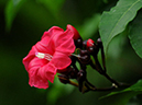 %_tempFileName03-20081124-0180%