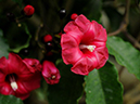 %_tempFileName04-20081124-0181%