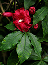 %_tempFileName05-20081124-0182%