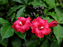 %_tempFileName06-20091122-0241%