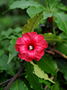 %_tempFileName07-20091122-0242%