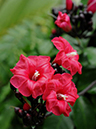 %_tempFileName08-20091129-0158%
