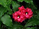 %_tempFileName10-20091213-0204%